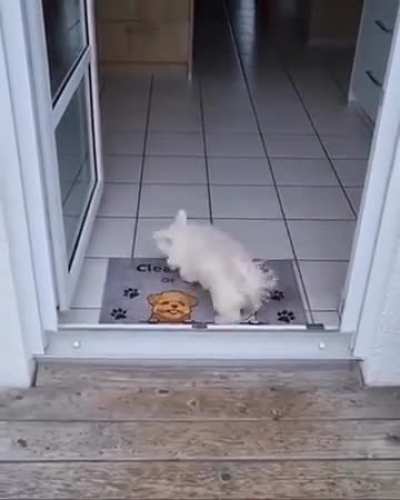 ZKN That's Pure Discipline