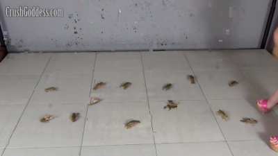 Anya crushing Crawdads in sexy pink Heels