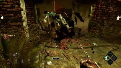 To this survivor: if your seeing this, I'm still not sorry lmao