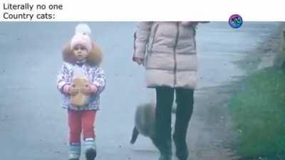 Prepared to face them at anytime.