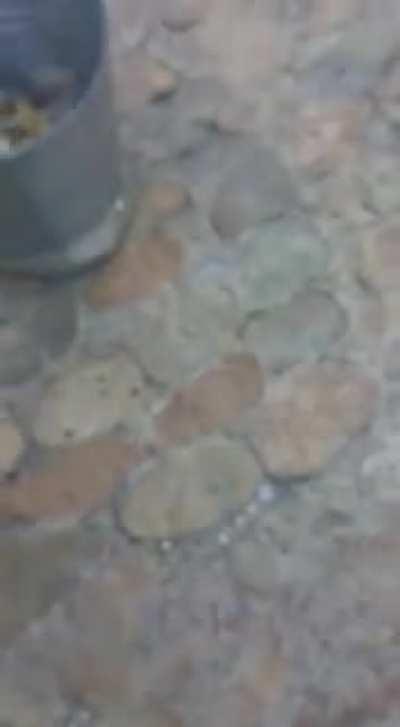 Dış minnaklara kendi vatanlarında ekonomik savaş ilan ettim. Tanrı türkü söylesin