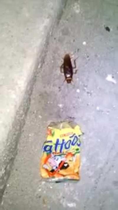 Ang paglalakbay ni Antonio sa San Andreas (Paki-upvote po)