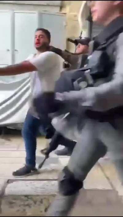 هلا حبيبي، يلعن ابو شواربك.