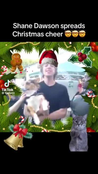 MARRY CHRISTIMAS 🎄🎄🎄🎄