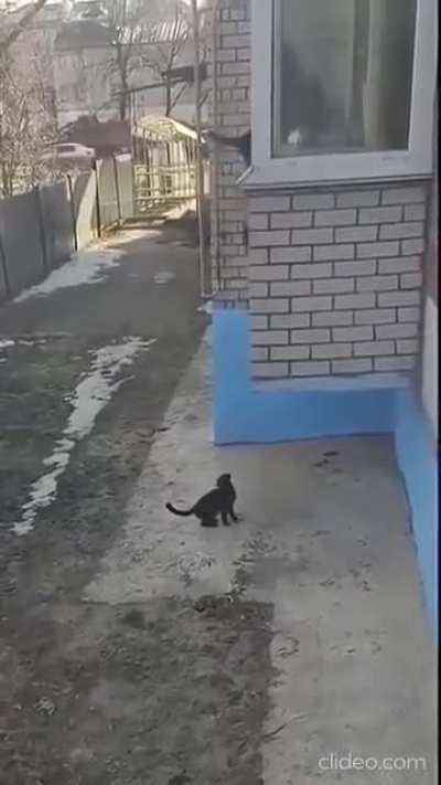 Se acabó el recreo... ¡Para casa!