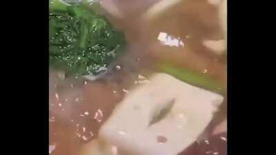 Footage from Marjorie Taylor Green's latest town hall