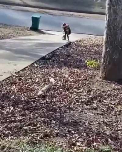 Sweet Moments of Best friend!