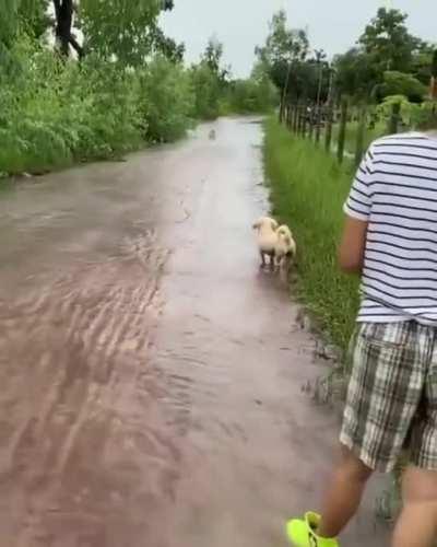 Faster than a speeding bullet