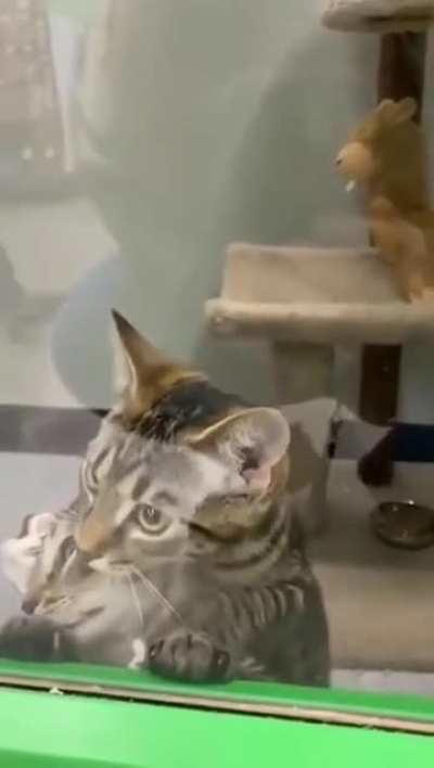 She's the main character