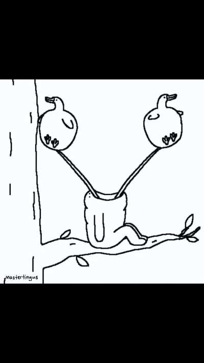 I don't know what this is but I've seen it now you have to see it too watch to the end