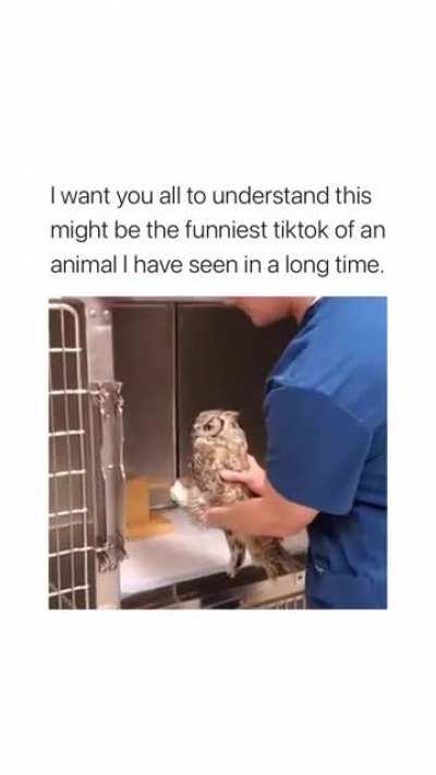 Why he just leave him there like that loool😭