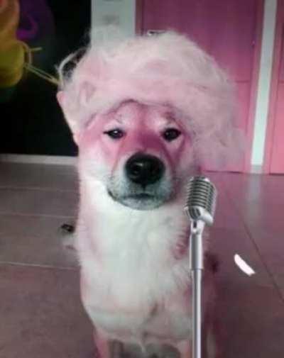 My friend forced me to make this, and I'm not mad.