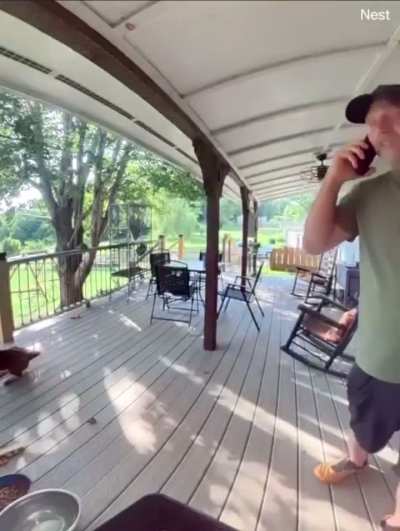 Man and dog attacked by squirrel