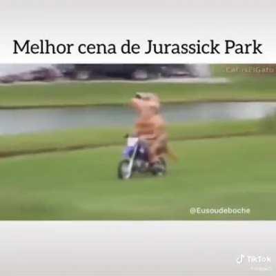 Kkkkkkkkkk melhor cena de Jurassick Park