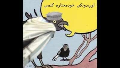 Arabic vs Afghan songs