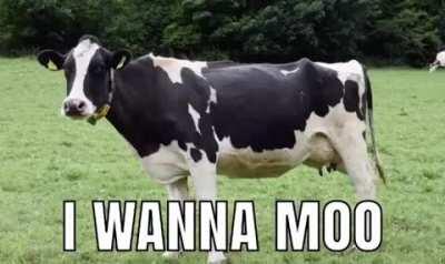 This is the first now spread this shit