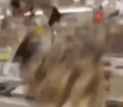 Un simple gato con audífonos