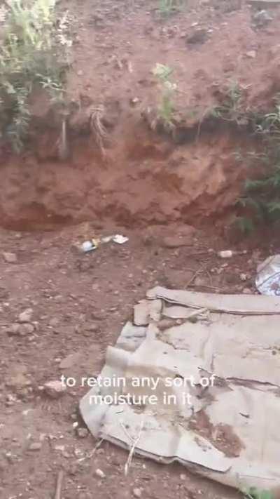 Unbelievably dry pitch at Edgbaston