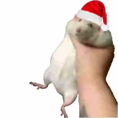 Give me presents you useless rodent
