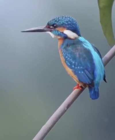 This drone has activated stabilization mode