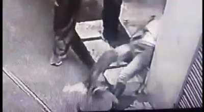 Pitbull dog attacked a school boy. Punjab ,India