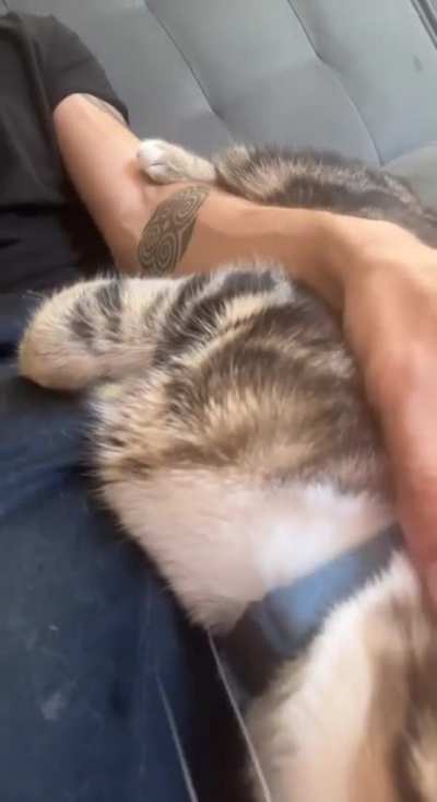 He loves to wrap around my arm