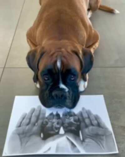 Creating special moments within a family