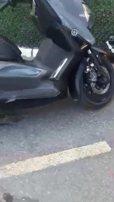 Supermarket Heist for her kitties