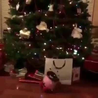 Me on the first day of December.