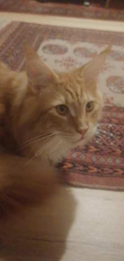 Gotta Keep Your Cool 😎❄️