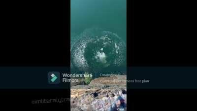 Wonder if some one could do a collab with me?? sorry for the wondershare filmora water mark, I have no money or a credit card 🥺🥺😭😭😭. Collaboration instructions are at the end.