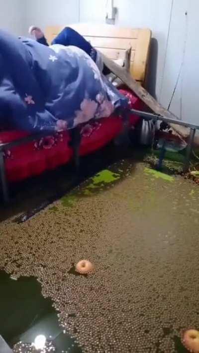 There is so much to unpack in this 5 second video i-