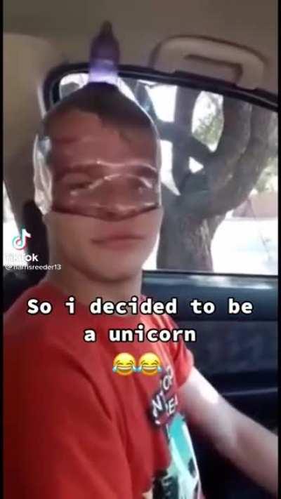 Unicorn.mp4