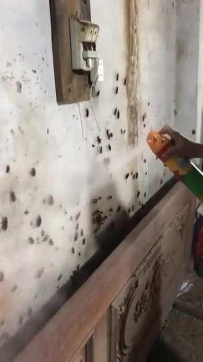 Nothing to be afraid of- Wait what?