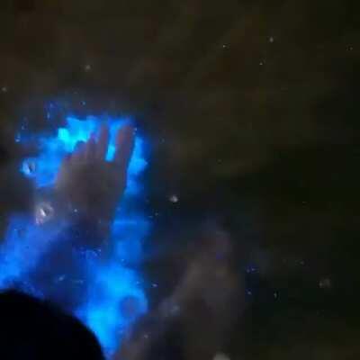 Walking through bioluminescent plankton 💦🌌This unique phenomenon is caused by a reaction within plankton which creates swirls of glowing blue along the beach. 💙
