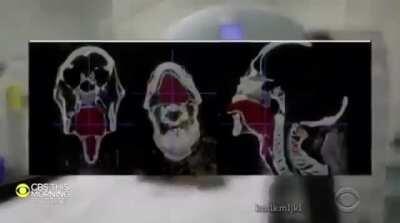 The mummy&rsquo;s voice