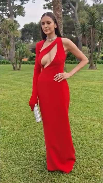 Red Dress Beauty (amfAR Gala)