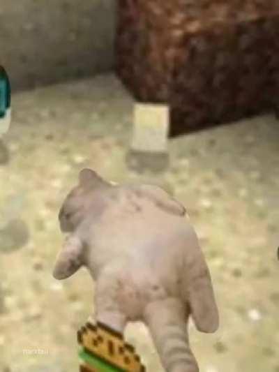 PedroDBR - Video #7700