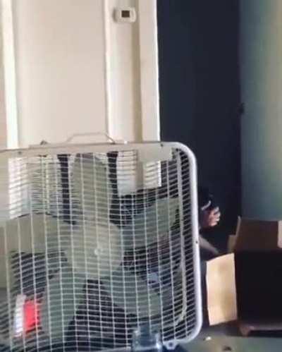 Some problems solve themselves.