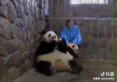 The greatest heist of all time