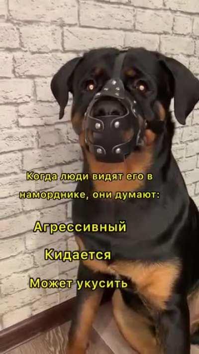 Теперь понятно, что у вас там за бойцовский клуб, если такие бойцы.