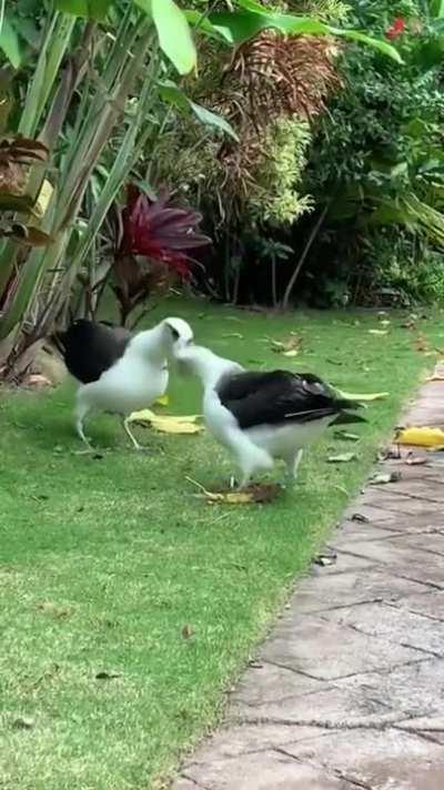 Конструктивный диалог