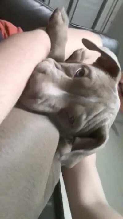 Tbt the first time I met my sweet Rama 💕😭