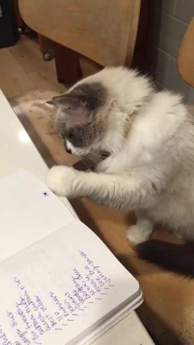 I always make sure to draw spiders when my work is being supervised by John