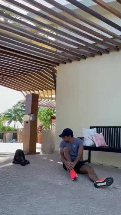 3 monkeys playing together how cute