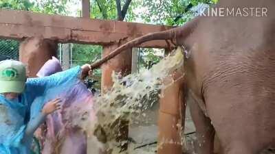 Let me just unplug this Elephant real quick