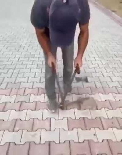 Святой человек