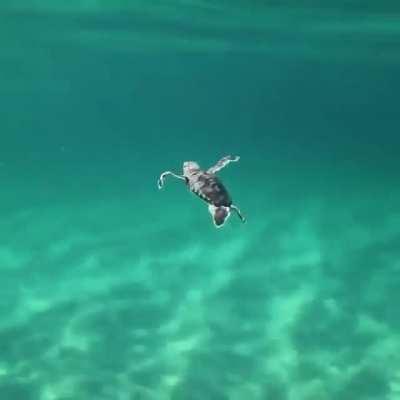 cute depth below ❤️