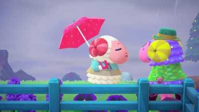 My boy Dom got rejected on a rainy day :( even got his best fit on and all