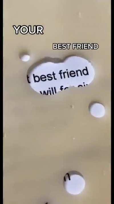 El queso de la verdad